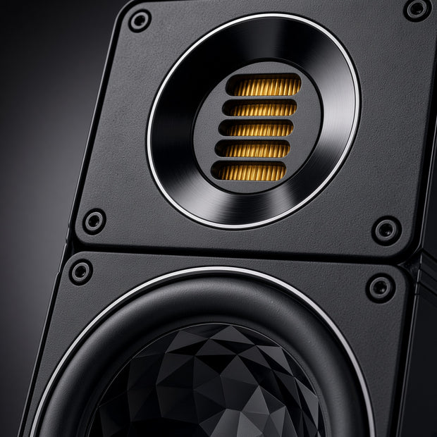 A camera close up shot of ELAC 312.2 speaker