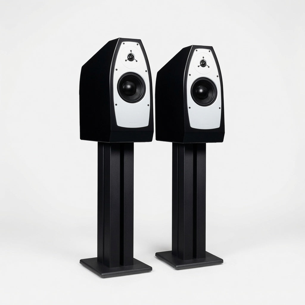 EgglestonWorks Nico Evo black
