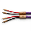 GEKKO Purple Haze Speaker Cable