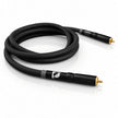 Signal Projects Alpha Digital RCA interconnect cable