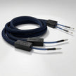 Signal Projects Atlantis RCA