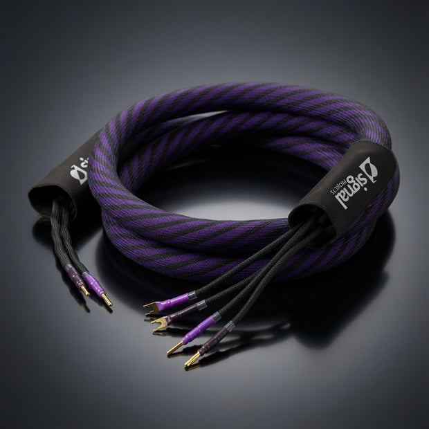 Signal Projects UltraViolet Speaker