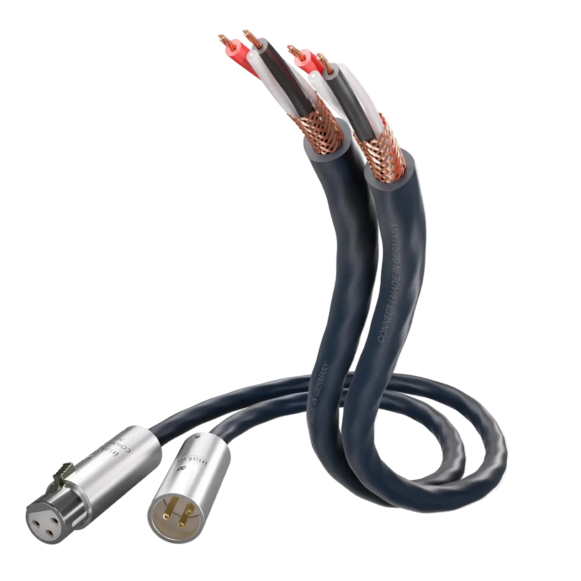inakustik S25 Connect 212 XLR