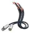 inakustik S25 Connect 212 XLR
