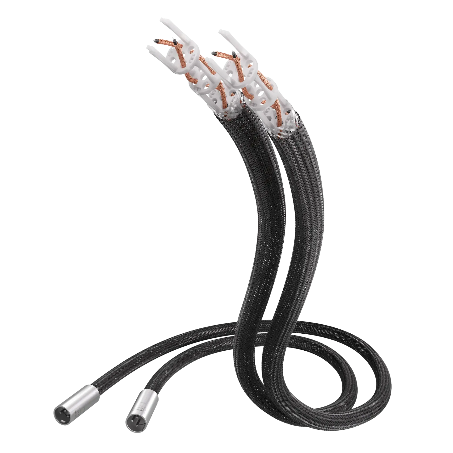 inakustik nf-1205 air xlr